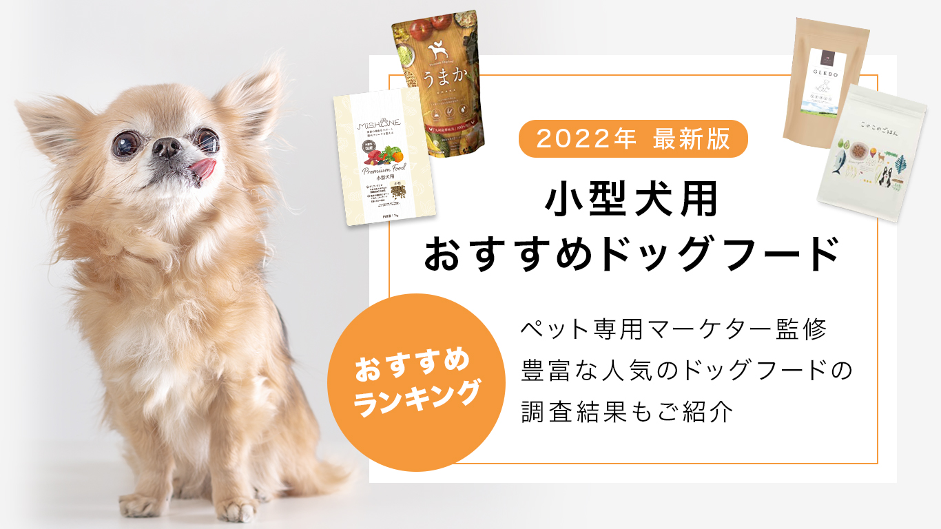 小型犬用おすすめドッグフード
